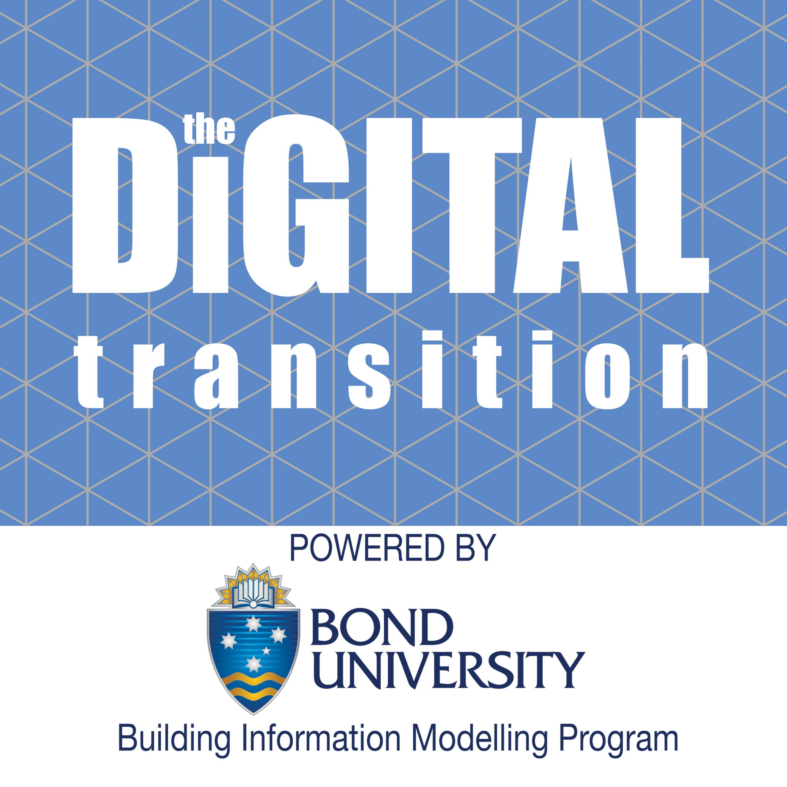 The Digital Transition