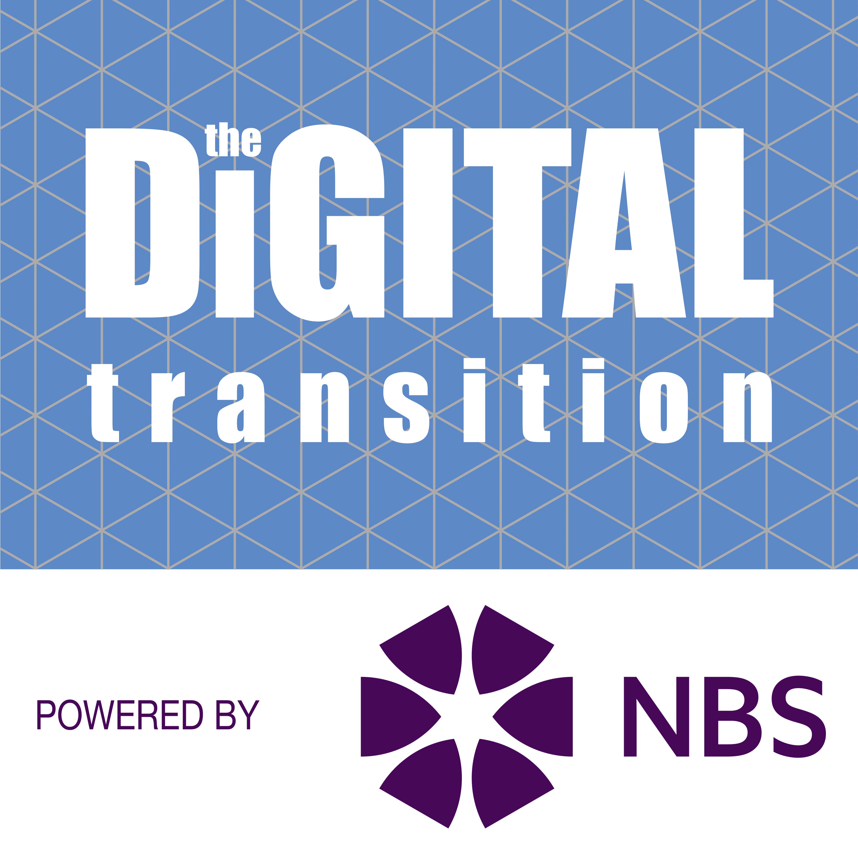 The Digital Transition